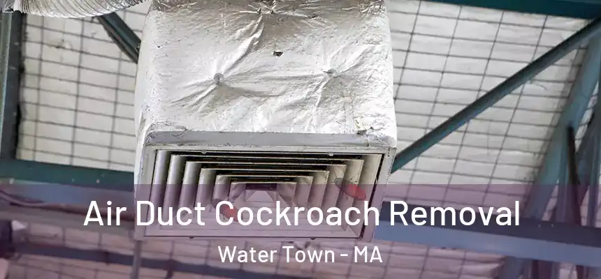 Air Duct Cockroach Removal Water Town - MA