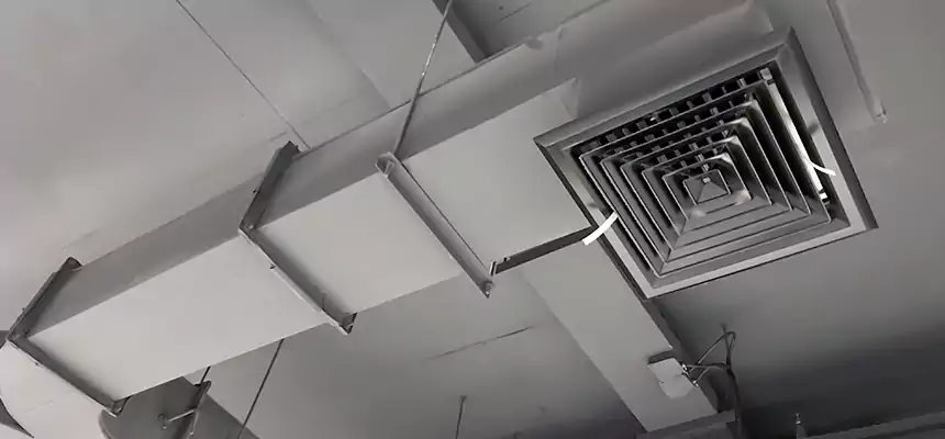 Restorative Allergy Relief Vent Cleaning – Coil, Blower & Housing Detail in Water Town