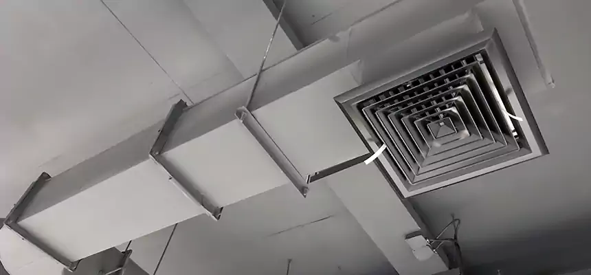 Our Pest Removal From Ducts Services in Water Town, MA