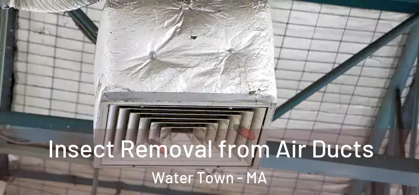Insect Removal from Air Ducts Water Town - MA