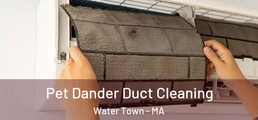  Pet Dander Duct Cleaning Water Town - MA