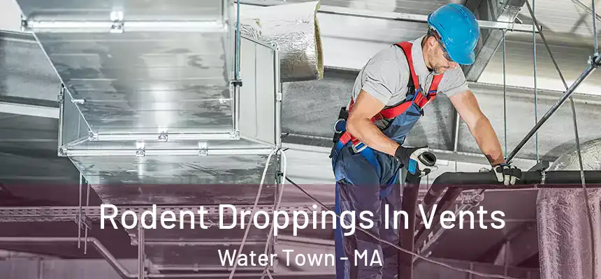  Rodent Droppings In Vents Water Town - MA