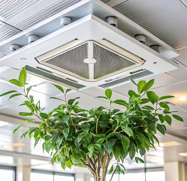 Why Homeowners & Businesses Trust Us in Water Town, MA